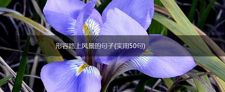 形容路上风景的句子(实用50句),第1张