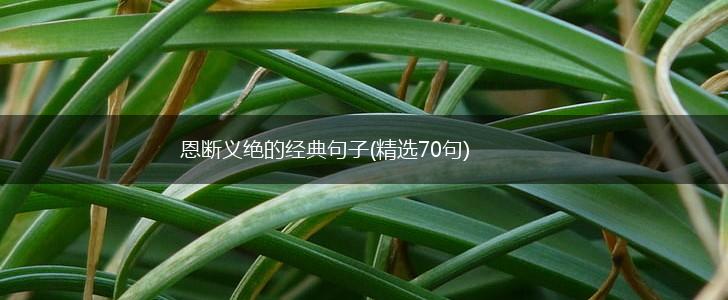 恩断义绝的经典句子(精选70句),第1张