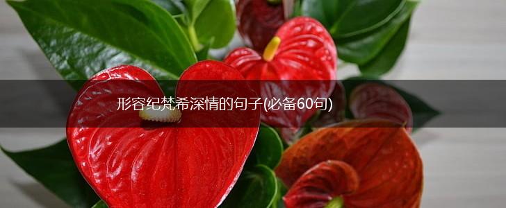 形容纪梵希深情的句子(必备60句),第1张