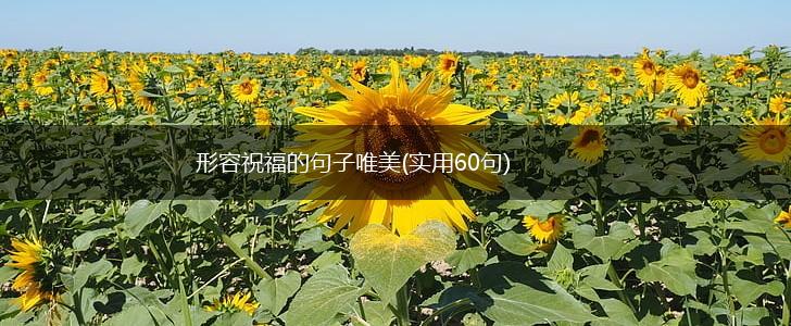 形容祝福的句子唯美(实用60句),第1张