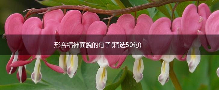 形容精神面貌的句子(精选50句),第1张