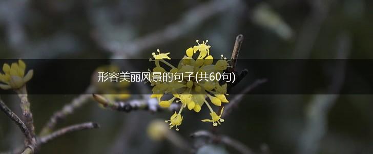 形容美丽风景的句子(共60句),第1张