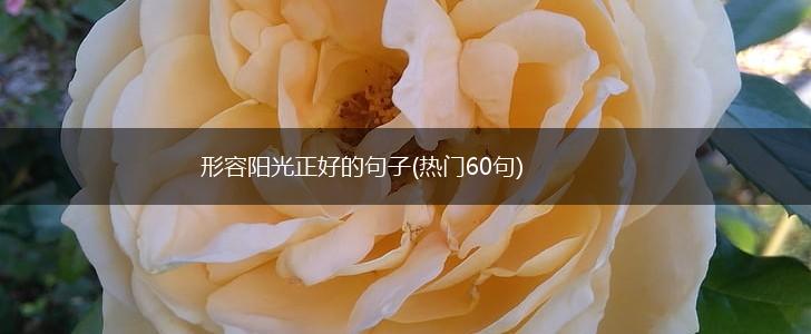 形容阳光正好的句子(热门60句),第1张