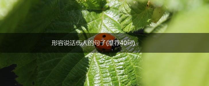 形容说话伤人的句子(推荐40句),第1张