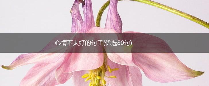 心情不太好的句子(优选80句),第1张