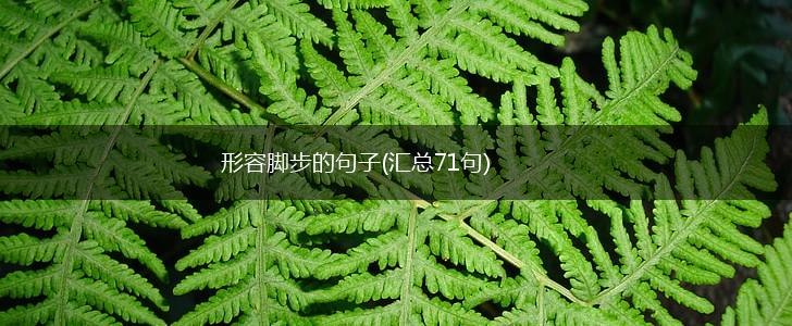 形容脚步的句子(汇总71句),第1张