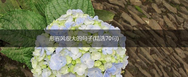 形容风很大的句子(精选70句),第1张