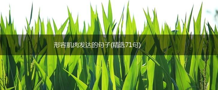 形容肌肉发达的句子(精选71句),第1张