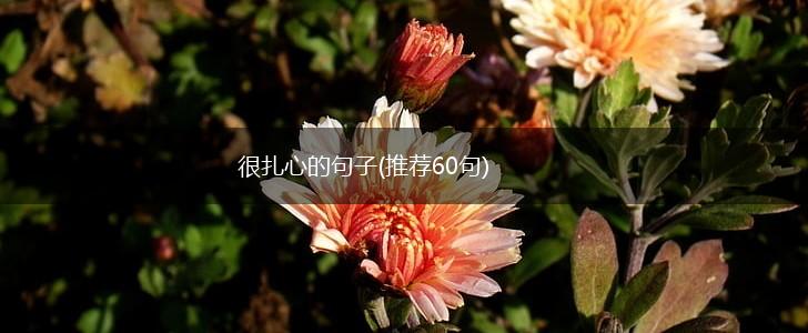 很扎心的句子(推荐60句),第1张