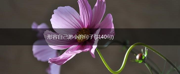 形容自己渺小的句子(共40句),第1张