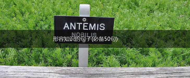 形容知识的句子(必备50句),第1张