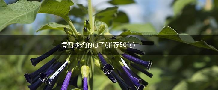 情侣吵架的句子(推荐50句),第1张
