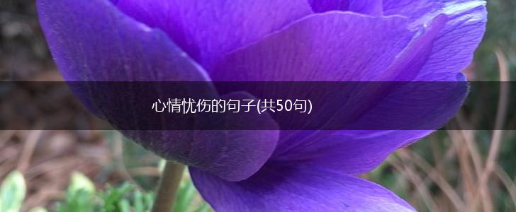 心情忧伤的句子(共50句),第1张