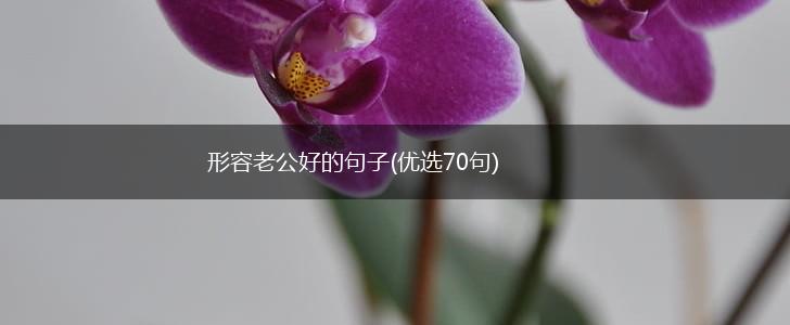 形容老公好的句子(优选70句),第1张