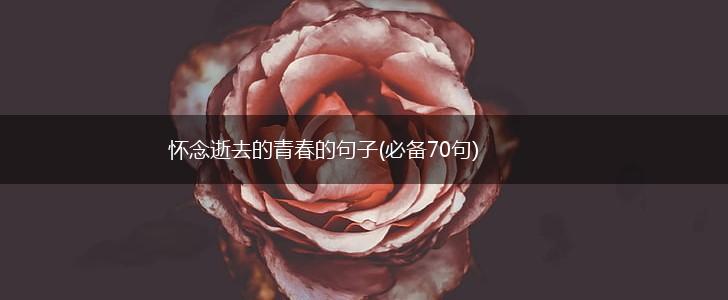 怀念逝去的青春的句子(必备70句),第1张
