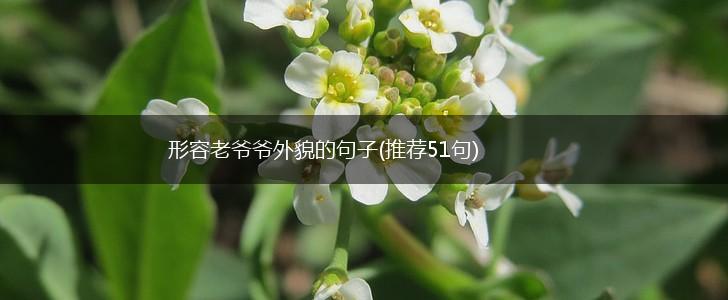 形容老爷爷外貌的句子(推荐51句),第1张