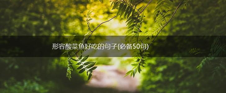 形容酸菜鱼好吃的句子(必备50句),第1张