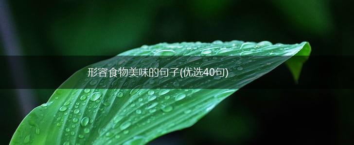 形容食物美味的句子(优选40句),第1张