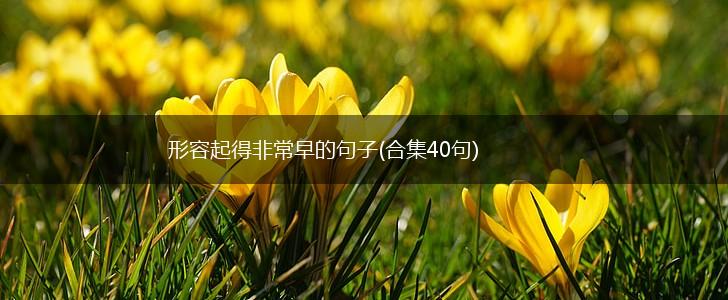 形容起得非常早的句子(合集40句),第1张