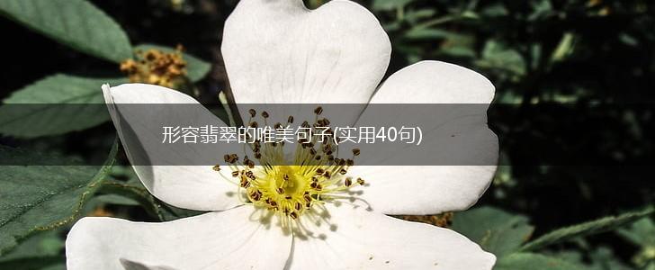 形容翡翠的唯美句子(实用40句),第1张
