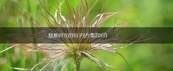 惬意时光的句子(合集20句),第1张