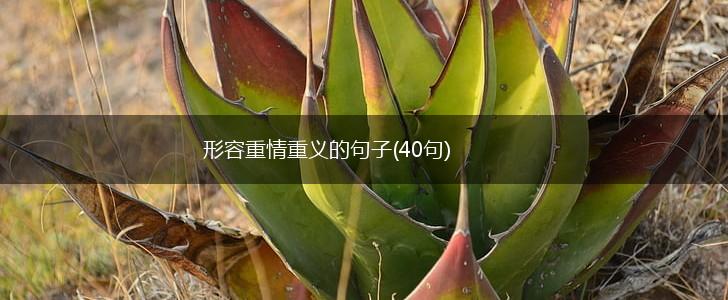 形容重情重义的句子(40句),第1张