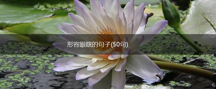 形容眼瞎的句子(50句),第1张