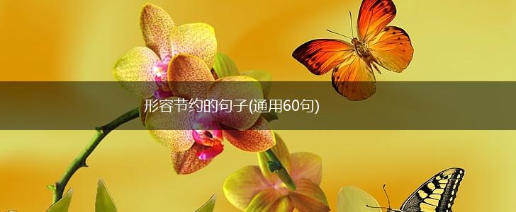 形容节约的句子(通用60句),第1张