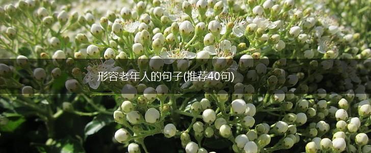 形容老年人的句子(推荐40句),第1张