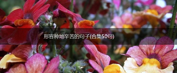 形容种地辛苦的句子(合集50句),第1张