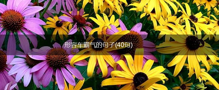 形容车霸气的句子(40句),第1张