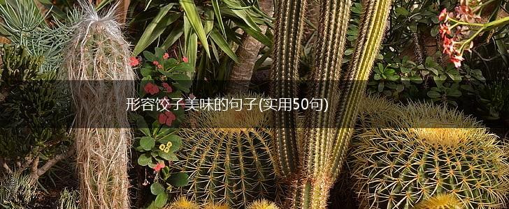 形容饺子美味的句子(实用50句),第1张