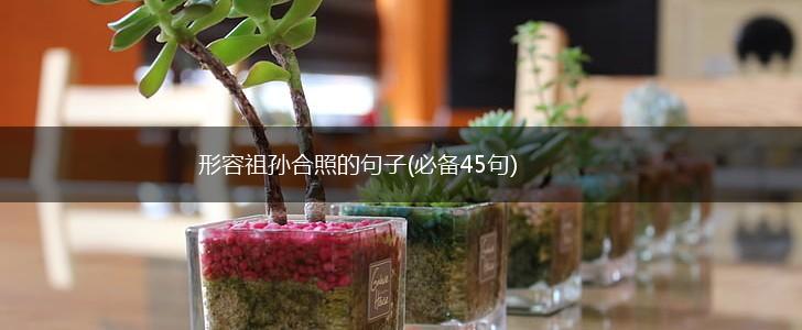 形容祖孙合照的句子(必备45句),第1张
