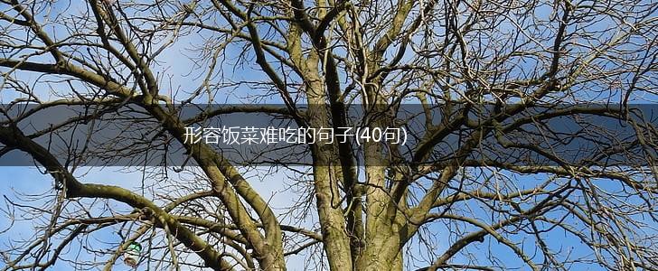 形容饭菜难吃的句子(40句),第1张
