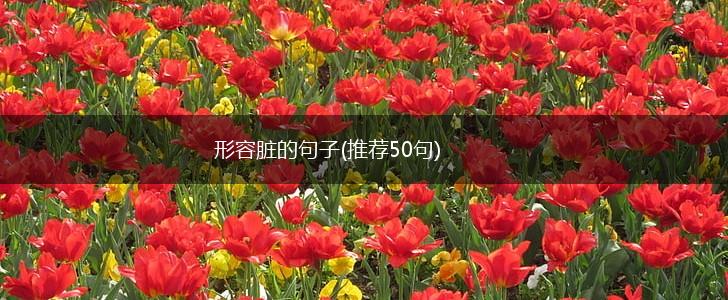 形容脏的句子(推荐50句),第1张