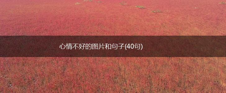 心情不好的图片和句子(40句),第1张