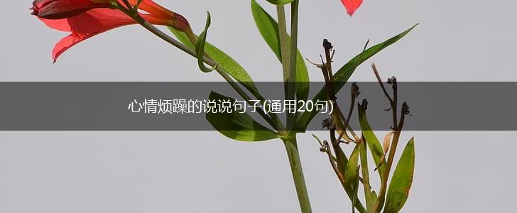 心情烦躁的说说句子(通用20句),第1张