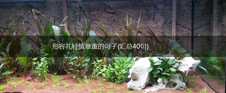 形容礼轻情意重的句子(汇总40句),第1张
