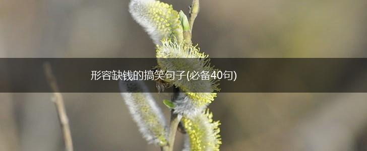 形容缺钱的搞笑句子(必备40句),第1张