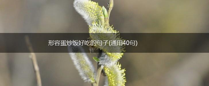 形容蛋炒饭好吃的句子(通用40句),第1张