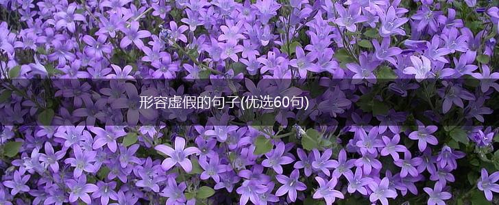 形容虚假的句子(优选60句),第1张