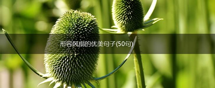形容风扇的优美句子(50句),第1张