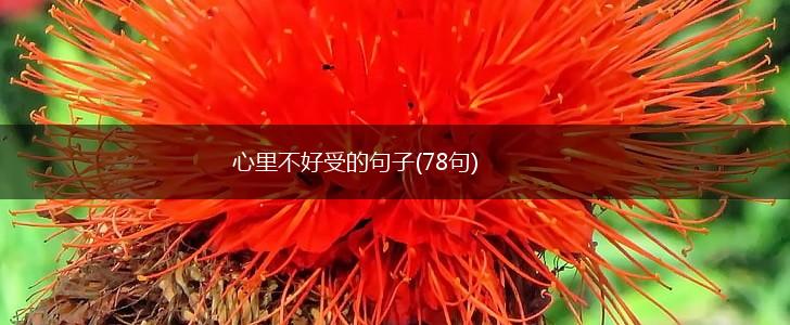 心里不好受的句子(78句),第1张