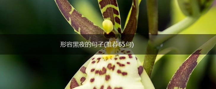 形容黑夜的句子(推荐65句),第1张