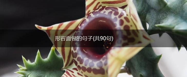 形容面包的句子(共90句),第1张