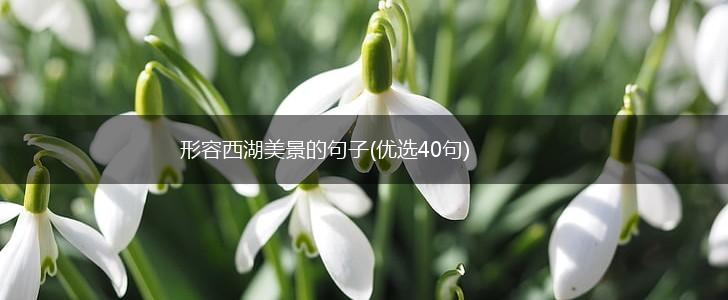 形容西湖美景的句子(优选40句),第1张