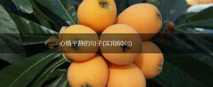 心情平静的句子(实用60句),第1张