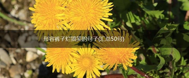 形容裤子烂搞笑的句子(汇总50句),第1张