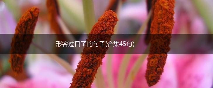 形容过日子的句子(合集45句),第1张