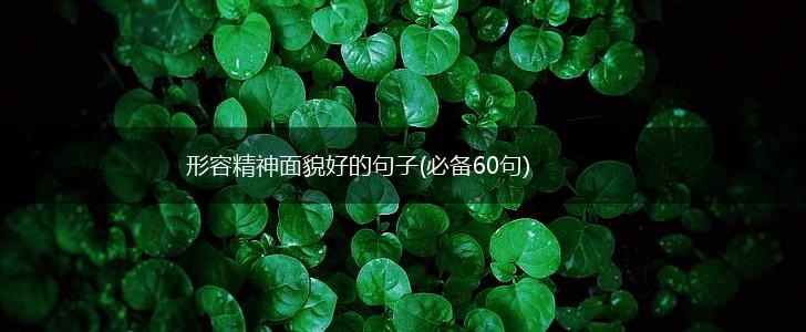 形容精神面貌好的句子(必备60句),第1张